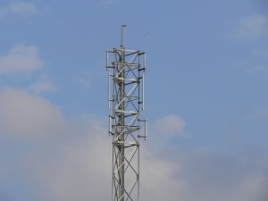Gąski 060